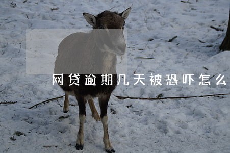 网贷逾期几天被恐吓怎么办 网贷逾期几天被恐吓怎么办
