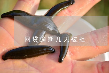 网贷逾期几天被拒 网贷逾期几天被拒