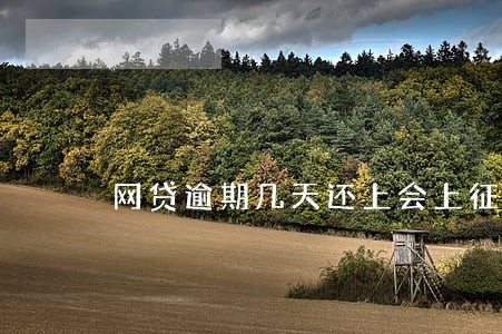 网贷逾期几天还上会上征信