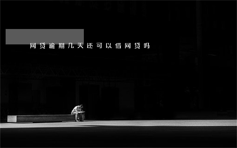 网贷逾期几天还可以借网贷吗 网贷逾期几天还可以借网贷吗
