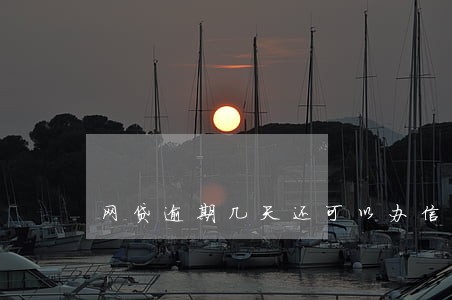 网贷逾期几天还可以办信用卡吗