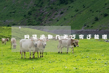 网贷逾期几天还完还能借吗 网贷逾期几天还完还能借吗