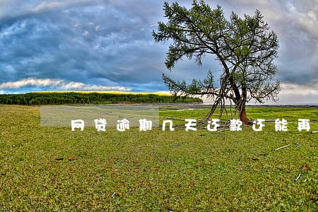 网贷逾期几天还款还能再借吗 网贷逾期几天还款还能再借吗