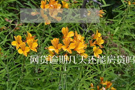 网贷逾期几天还能房贷吗 网贷逾期几天还能房贷吗