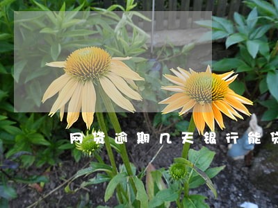 网贷逾期几天银行能贷款吗 网贷逾期几天银行能贷款吗