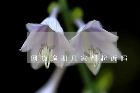 网贷逾期几家都起诉吗
