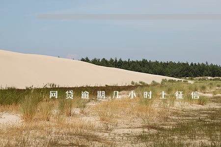 网贷逾期几小时上征信 网贷逾期几小时上征信