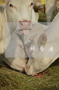 网贷逾期几年了怎么找到新公司的