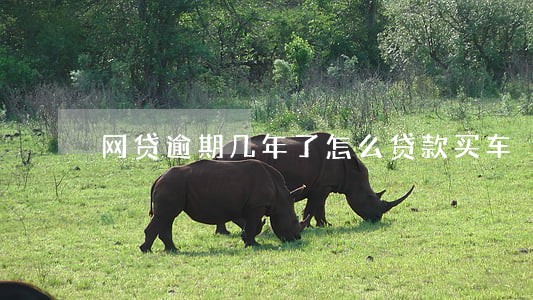 网贷逾期几年了怎么贷款买车 网贷逾期几年了怎么贷款买车