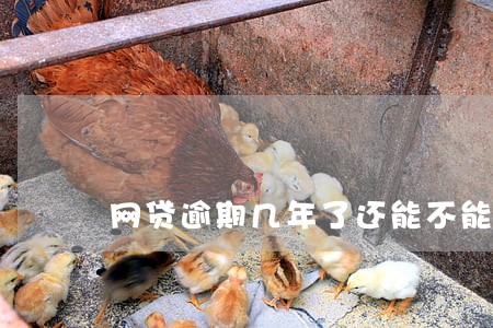 网贷逾期几年了还能不能借 网贷逾期几年了还能不能借