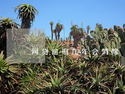 网贷逾期几年会消除 网贷逾期几年会消除