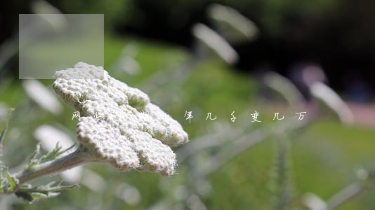 网贷逾期几年几千变几万 网贷逾期几年几千变几万