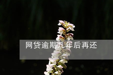 网贷逾期几年后再还