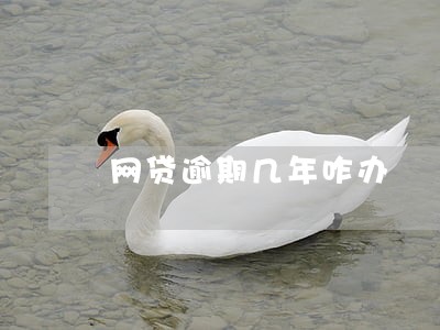 网贷逾期几年咋办 网贷逾期几年咋办