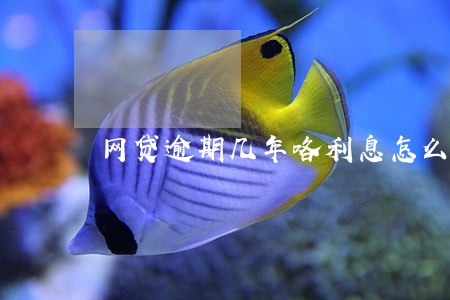 网贷逾期几年咯利息怎么算 网贷逾期几年咯利息怎么算