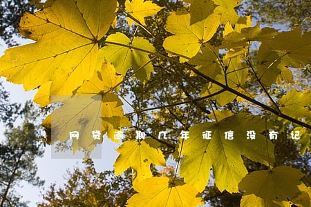 网贷逾期几年征信没有记录 网贷逾期几年征信没有记录