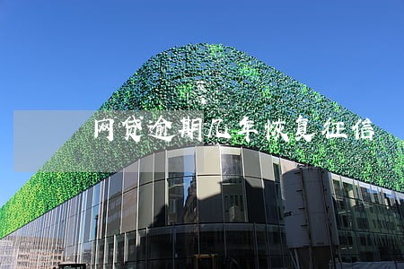 网贷逾期几年恢复征信 网贷逾期几年恢复征信