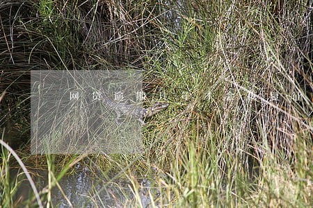 网贷逾期几年才会恢复征信 网贷逾期几年才会恢复征信