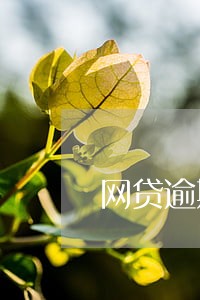 网贷逾期几年没有涨利息怎么回事 网贷逾期几年没有涨利息怎么回事