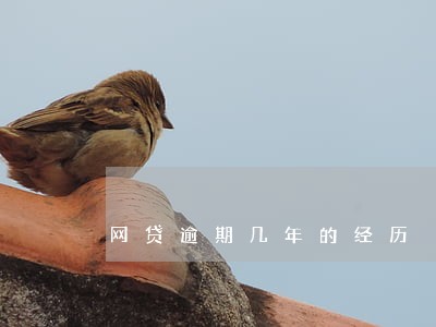 网贷逾期几年的经历 网贷逾期几年的经历