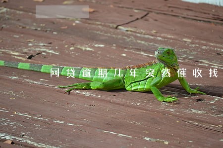 网贷逾期几年突然催收找你 网贷逾期几年突然催收找你
