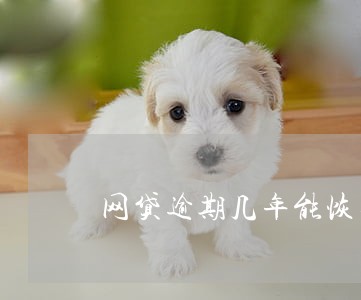 网贷逾期几年能恢复征信 网贷逾期几年能恢复征信