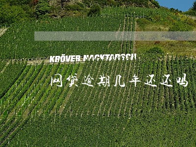 网贷逾期几年还还吗 网贷逾期几年还还吗