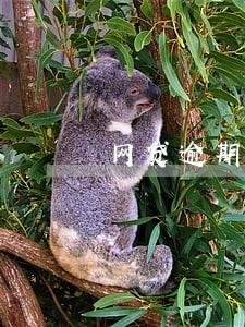 网贷逾期几日会上征信 网贷逾期几日会上征信