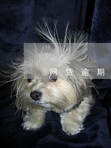 网贷逾期几次上黑名单 网贷逾期几次上黑名单