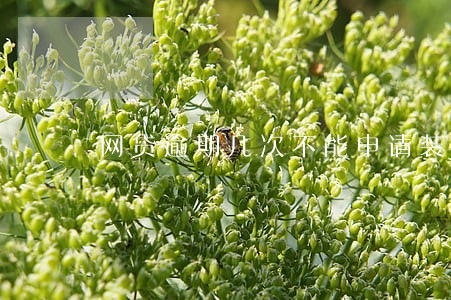 网贷逾期几次不能申请装修贷 网贷逾期几次不能申请装修贷