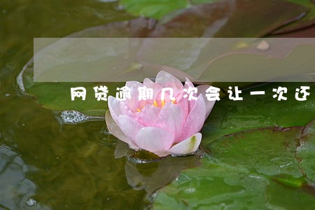 网贷逾期几次会让一次还款 网贷逾期几次会让一次还款