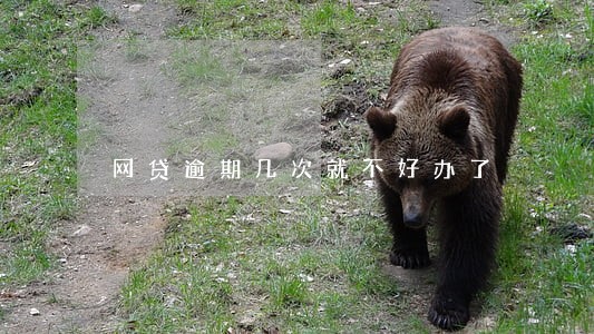 网贷逾期几次就不好办了 网贷逾期几次就不好办了