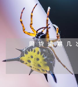网贷逾期几次影响买房贷款吗 网贷逾期几次影响买房贷款吗