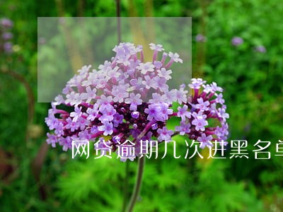 网贷逾期几次进黑名单 网贷逾期几次进黑名单