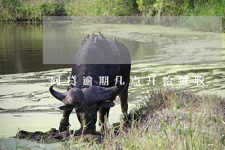 网贷逾期几点开始催收 网贷逾期几点开始催收