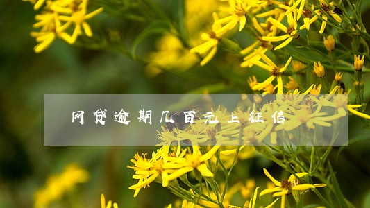 网贷逾期几百元上征信 网贷逾期几百元上征信