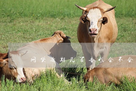 网贷逾期几百告我会不会立案