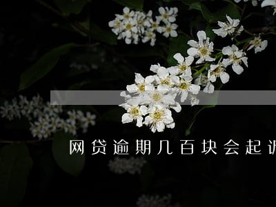 网贷逾期几百块会起诉吗 网贷逾期几百块会起诉吗