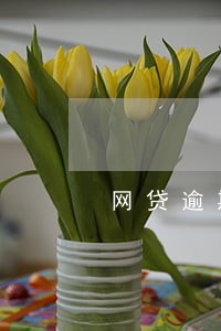 网贷逾期几百块钱 网贷逾期几百块钱