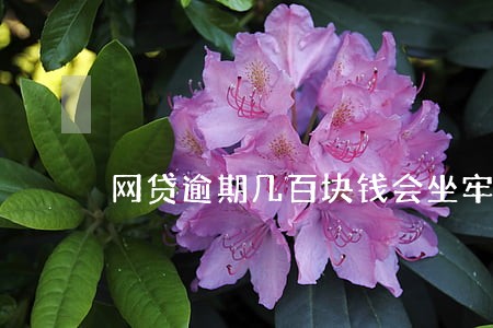网贷逾期几百块钱会坐牢吗 网贷逾期几百块钱会坐牢吗
