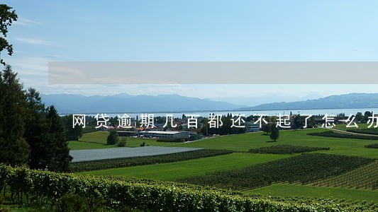 网贷逾期几百都还不起了怎么办 网贷逾期几百都还不起了怎么办