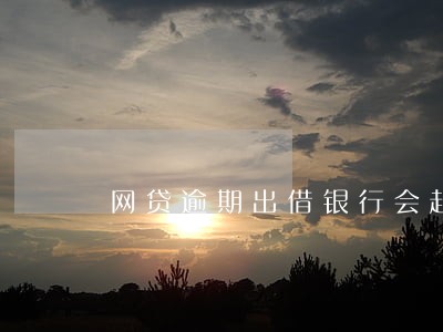 网贷逾期出借银行会起诉吗