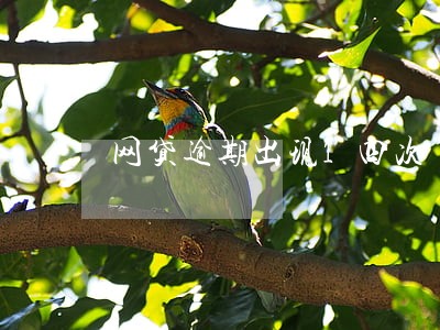 网贷逾期出现1四次 网贷逾期出现1四次