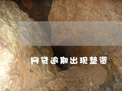 网贷逾期出现垫资 网贷逾期出现垫资
