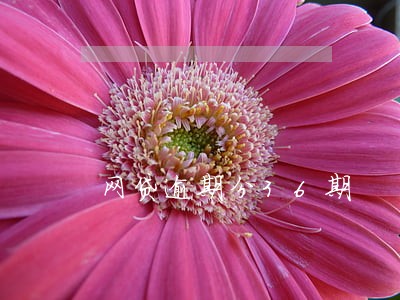 网贷逾期分36期 网贷逾期分36期