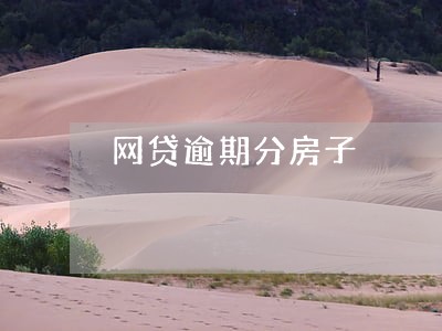 网贷逾期分房子