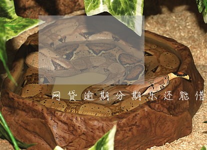 网贷逾期分期乐还能借到钱吗 网贷逾期分期乐还能借到钱吗