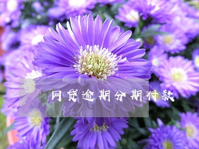 网贷逾期分期付款 网贷逾期分期付款