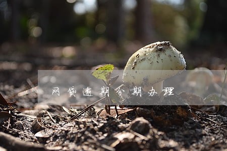 网贷逾期分期办理 网贷逾期分期办理