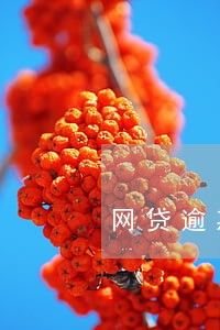 网贷逾期分期协商 网贷逾期分期协商